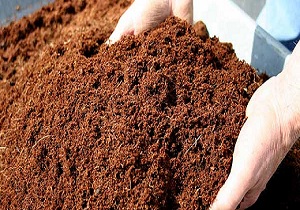 کمپوست تولید شده در کرمانشاه دارای تمامی استاندارهای لازم است