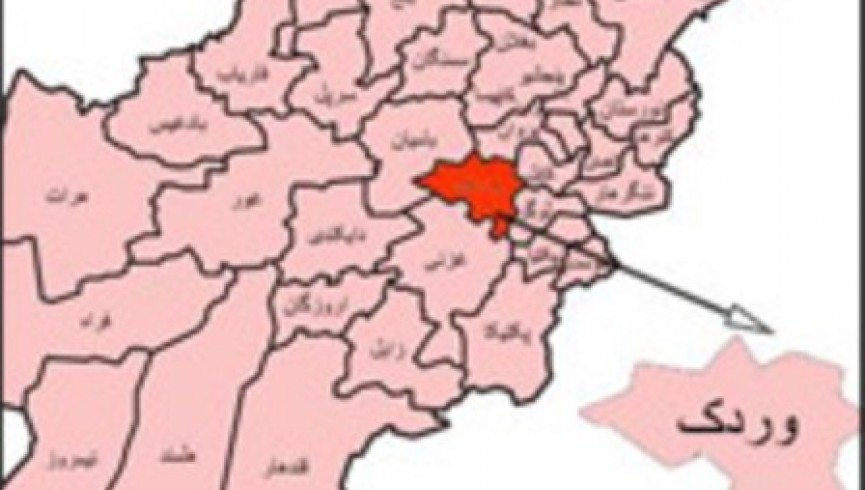 دو فرمانده و 10 عضو گروه طالبان در میدان وردک کشته شدند