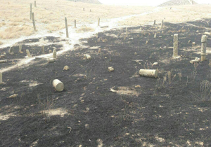 بی توجهی گردشگران در خاموش کردن آتش علت آتش سوزی در گورستان باستانی خالدنبی