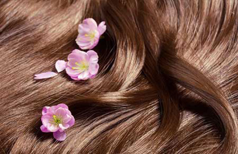 8 ماده غذایی برای داشتن موهایی سالم + اینفوگرافی