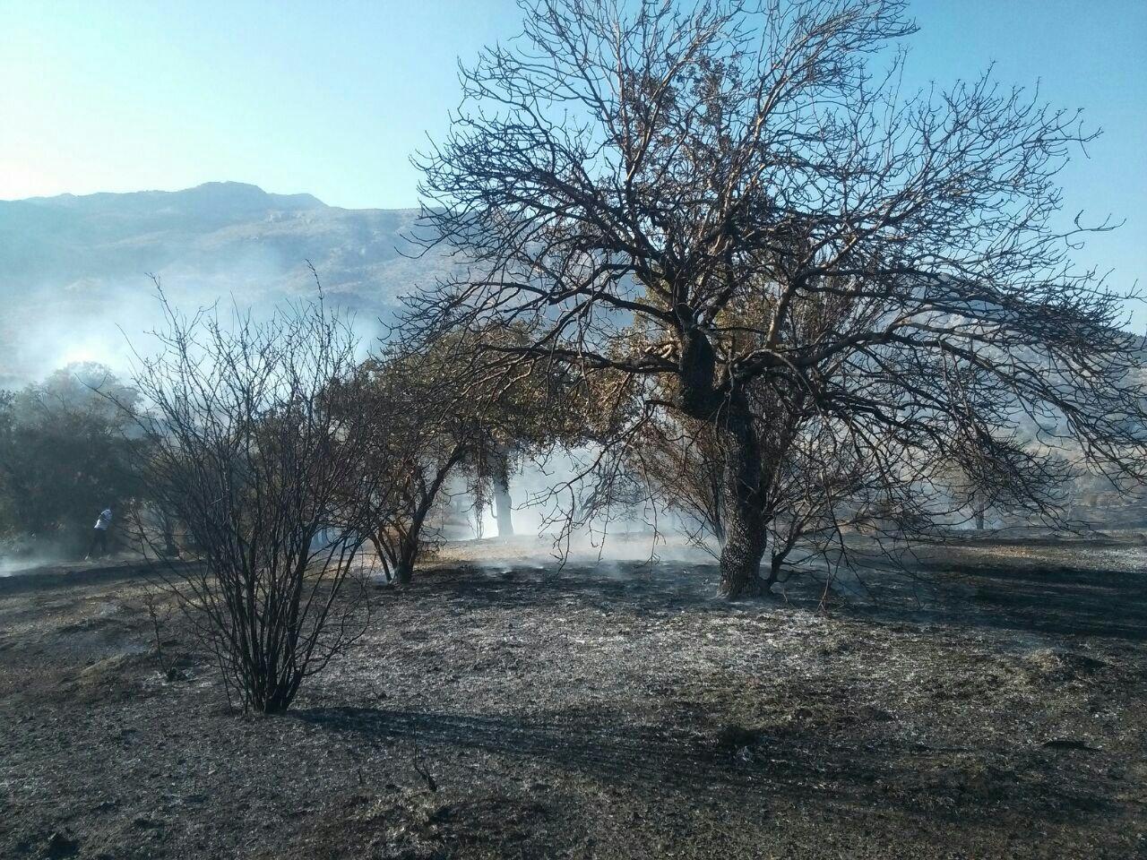 مهارکامل آتش سوزی در پارک ملی خبر