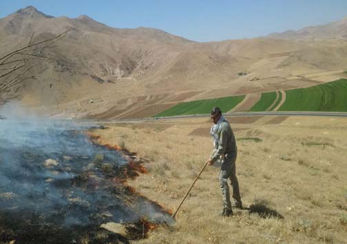 مهار آتش در پناهگاه حیات وحش سفید کوه ازنا