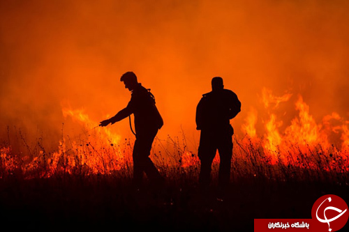 تصاویر روز: از هنرنمایی سوارکاران تبتی تا ایجاد نقش و نگار بر روی شترهای پاکستانی