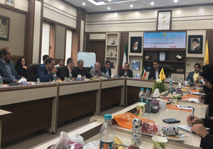 کلنگ زنی و افتتاح ۵۶ پروژه برق رسانی در هفته دولت