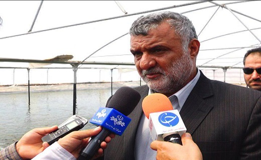 پرداخت تسهیلات ۴ درصدی برای سرمایه گذاران فرآوری نخیلات در بافق