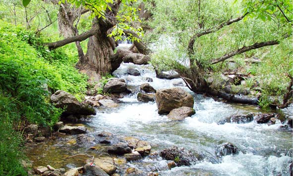سراب گیان بهشت نهاوند