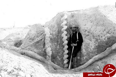 پیچ&zwnj;های باستانی مرموز در آمریکا +تصاویر
