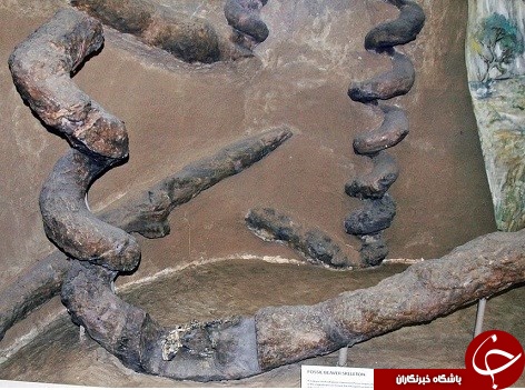 پیچ&zwnj;های باستانی مرموز در آمریکا +تصاویر