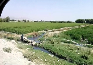 بسته
