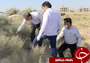 اجرای طرح جونده کشی در مرودشت