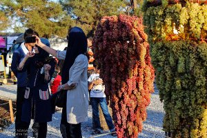 اسکان بیش از 8 هزار گردشگر همزمان با جشنواره انگور در ارومیه