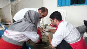 تحویل یک قطعه پرنده نوک خنجری به محیط زیست رودسر