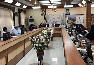 ایجاد شبکه های داوطلبی برای توسعه فعالیتهای هلال احمر