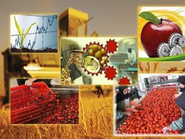 دریافت تسهیلات ۴ طرح صنایع تبدیلی و تکمیلی در سرایان