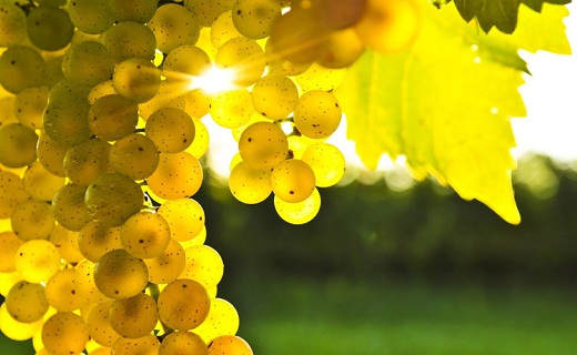 نگاهی به پر بیننده ترین اخبار روز گذشته در سمنان