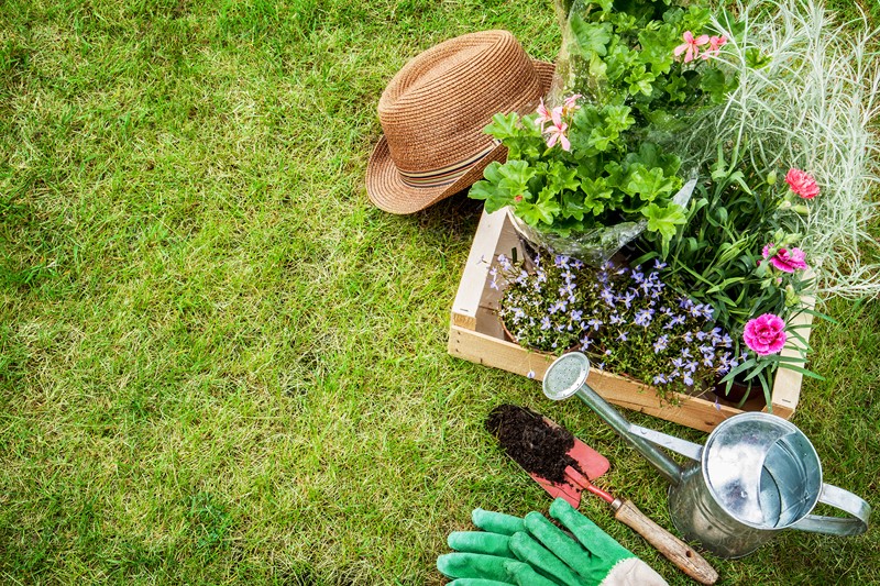 10 فواید شگفت&zwnj;انگیز باغبانی برای سلامت بدن +اینفوگرافیک