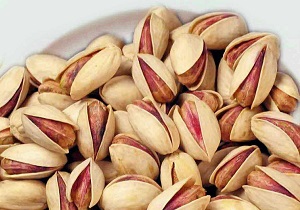 کیفیت پسته دامغان بالاست/ پسته دامغان برند جهانی شود