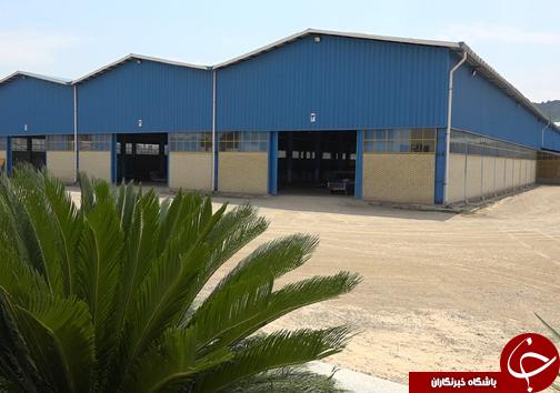 فولاد مازندران در مسیر توسعه
