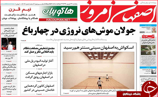 از جای خالی تبدیل تهدید به فرصت تا مرگ های هولناک ناشی از نهنگ شدن