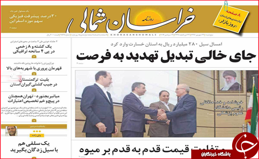 از جای خالی تبدیل تهدید به فرصت تا مرگ های هولناک ناشی از نهنگ شدن