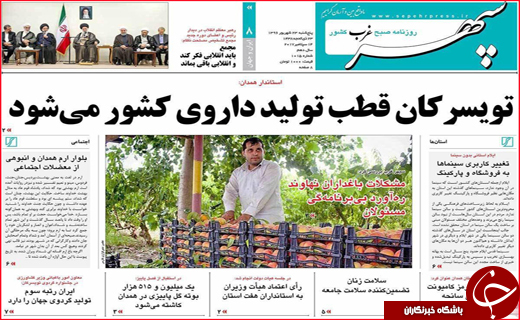 از جای خالی تبدیل تهدید به فرصت تا مرگ های هولناک ناشی از نهنگ شدن