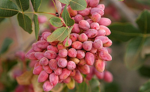 نگاهی به پر بیننده ترین اخبار روز گذشته در سمنان