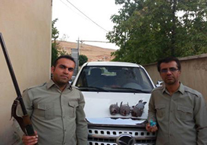 دستگیری شکارچی متخلف در پناهگاه حیات وحش دشت سوتاو حمامیان بوکان