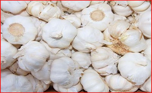 حال سیرکاران همدانی خوب نیست/ سیر همدان اسیر سیرهای فرنگی