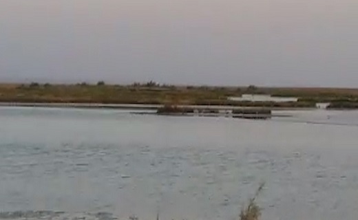 بار وانت بر دوش خودرو آردی/تالاب بین المللی گاوخونی در یک قدمی خشک شدن/وضعیت اسفبار جاده نوق - بافق + فیلم و تصاویر بار وانت بر دوش خودرو آردی/تالاب بین المللی گاوخونی در یک قدمی خشک شدن/وضعیت اسفبار جاده نوق - بافق + فیلم و تصاویر