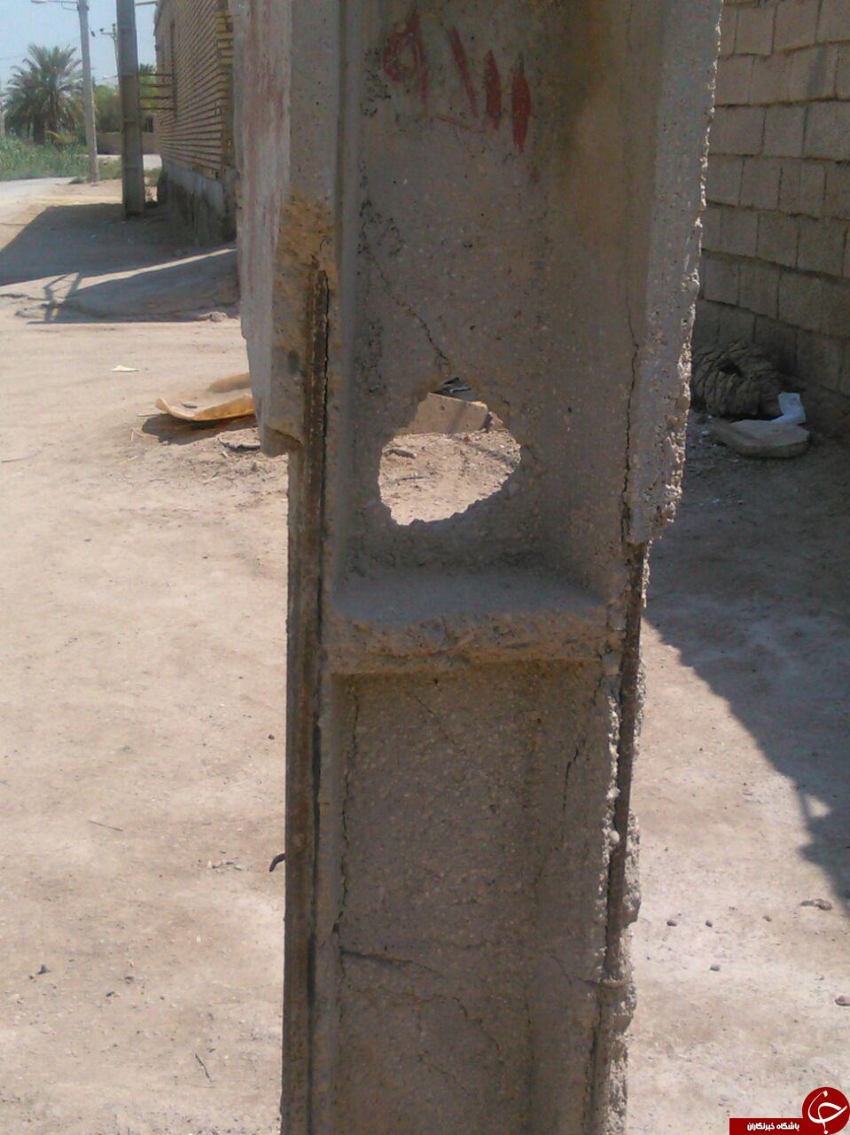فرسودگی تیربرق های منطقه ابوشانگ + تصاویر