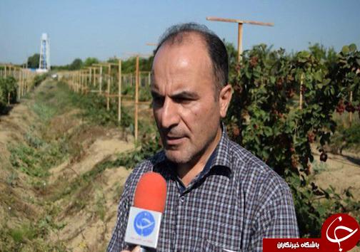 پایان فرصت سوزی اقتصادی زمین های شیبدار مازندران
