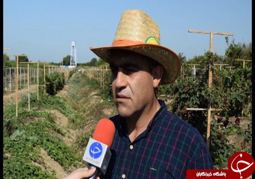 پایان فرصت سوزی اقتصادی زمین های شیبدار مازندران