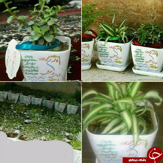 کارت عروسی متفاوت یک زوج جوان +تصاویر