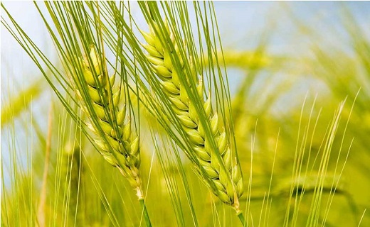 سرخط جذاب ترین خبرهای این هفته استان سمنان