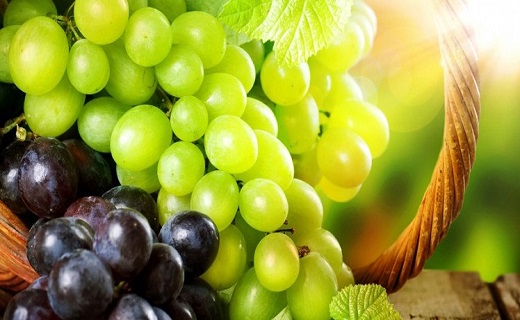 سرخط جذاب ترین خبرهای این هفته استان سمنان