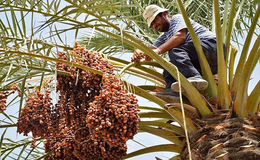 سرخط جذاب ترین خبرهای این هفته استان سمنان
