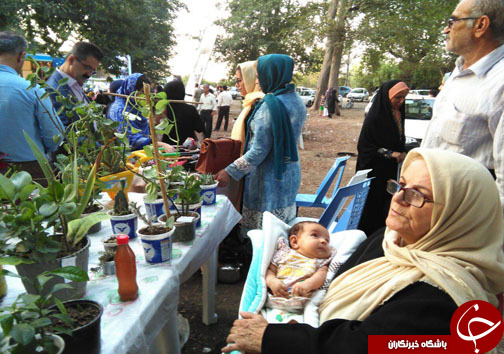 برگزاری جشن خرمن در ساری