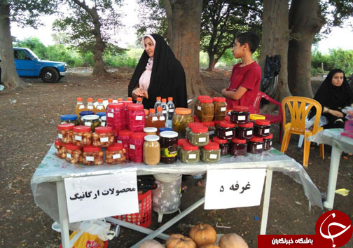 برگزاری جشن خرمن در ساری