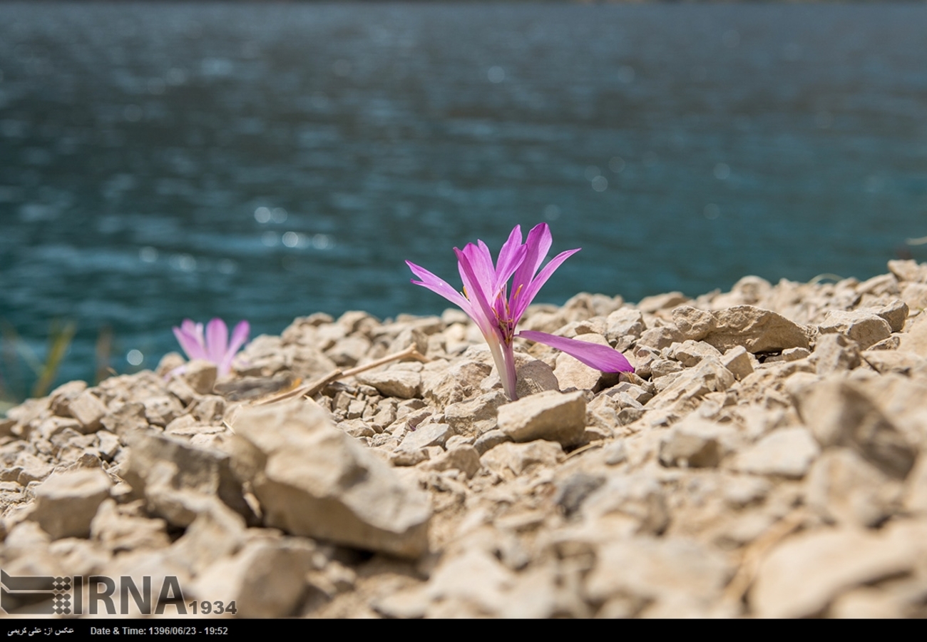 دریاچه گهر؛ نگین زاگرس+تصاویر