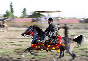 نهمین جشنواره اسب اصیل نژاد کردی