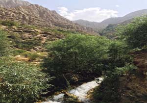 چشم‌اندازی از طبیعت فوق‌العاده زیبای آب گرمه در درود + فیلم