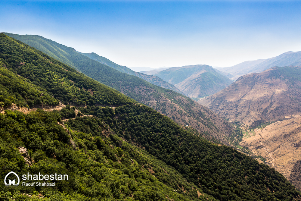 زندگی با طعم عسل+تصاویر