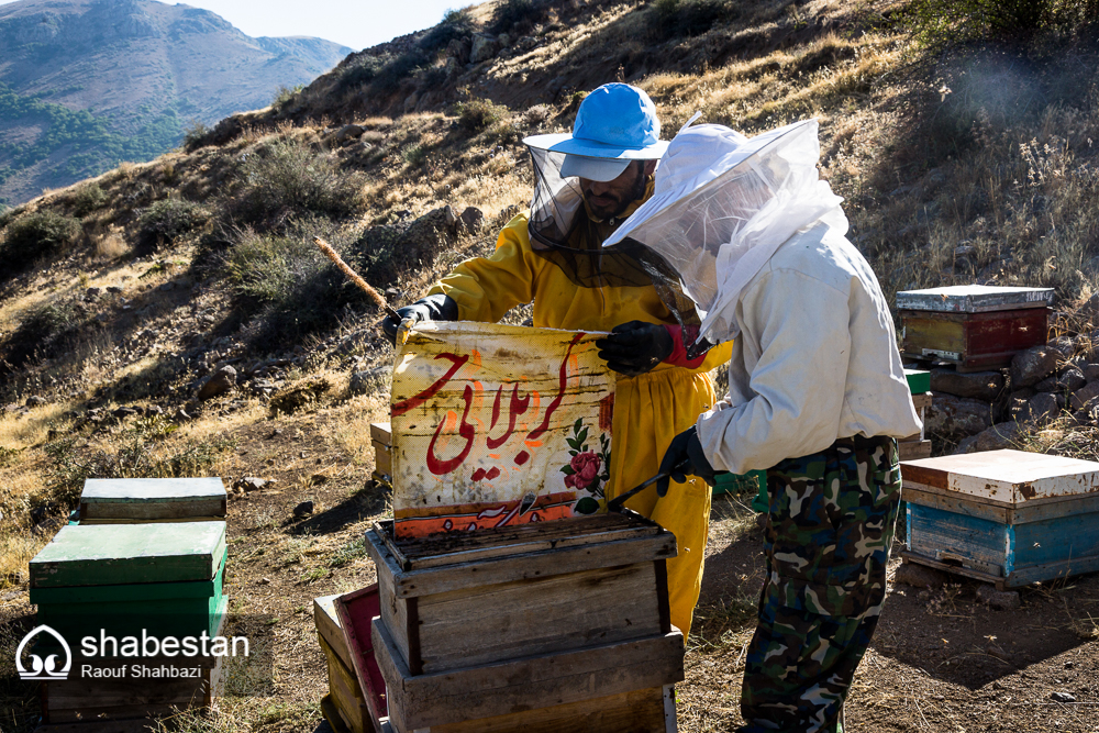 زندگی با طعم عسل+تصاویر