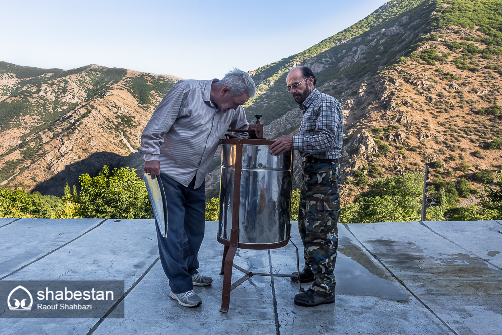 زندگی با طعم عسل+تصاویر