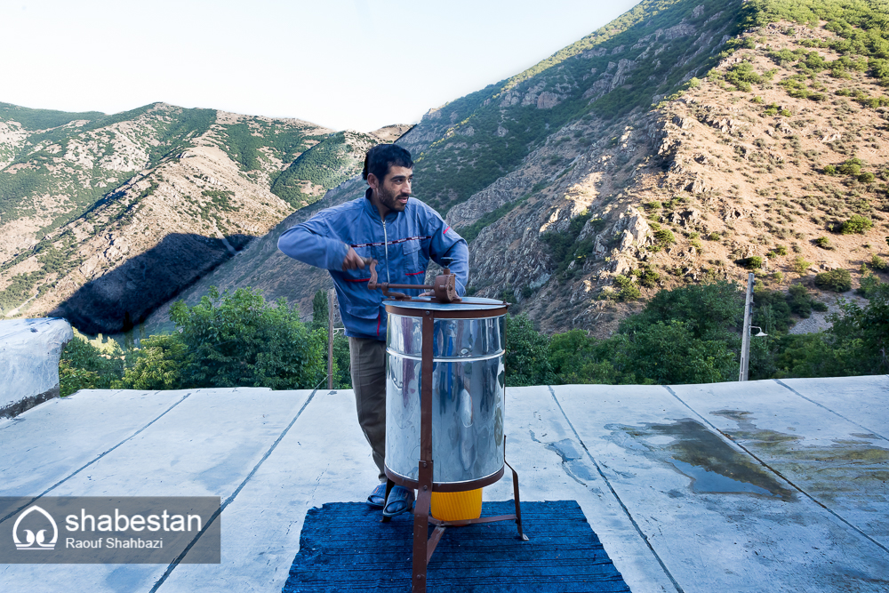 زندگی با طعم عسل+تصاویر