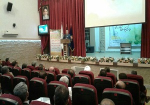 سرعت تولید ارقام جدید و تولید بذر افزایش می یابد