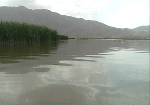 پیش بینی رگبار پراکنده باران