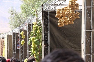 خودنمایی محصولات کشاورزان در جشنواره روستایی و انگور درروستای آشناخور خمین