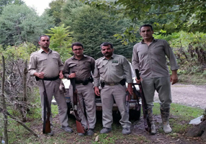 ۶ شکارچی متخلف در دام محیط بانان مازندران