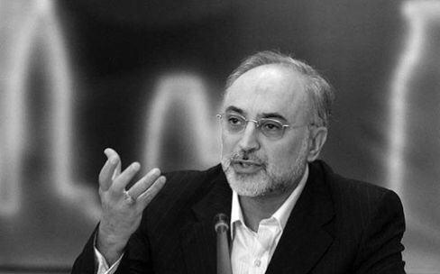 صالحی برای حضور در نشست عمومی سالانه آژانس بین‌المللی انرژی اتمی عازم وین شد
